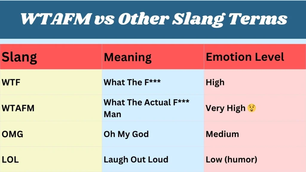WTAFM vs Other Slang Terms